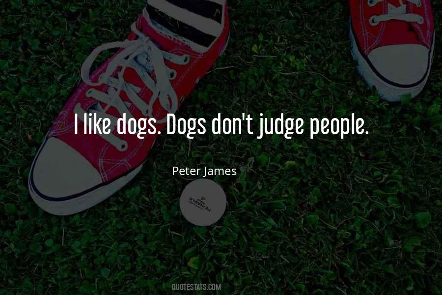 I Don't Judge Quotes #264744