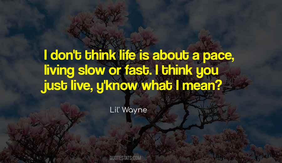 I Don't Know About Life Quotes #528709