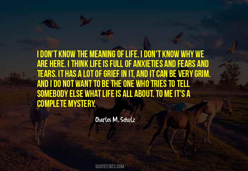 I Don't Know About Life Quotes #687739