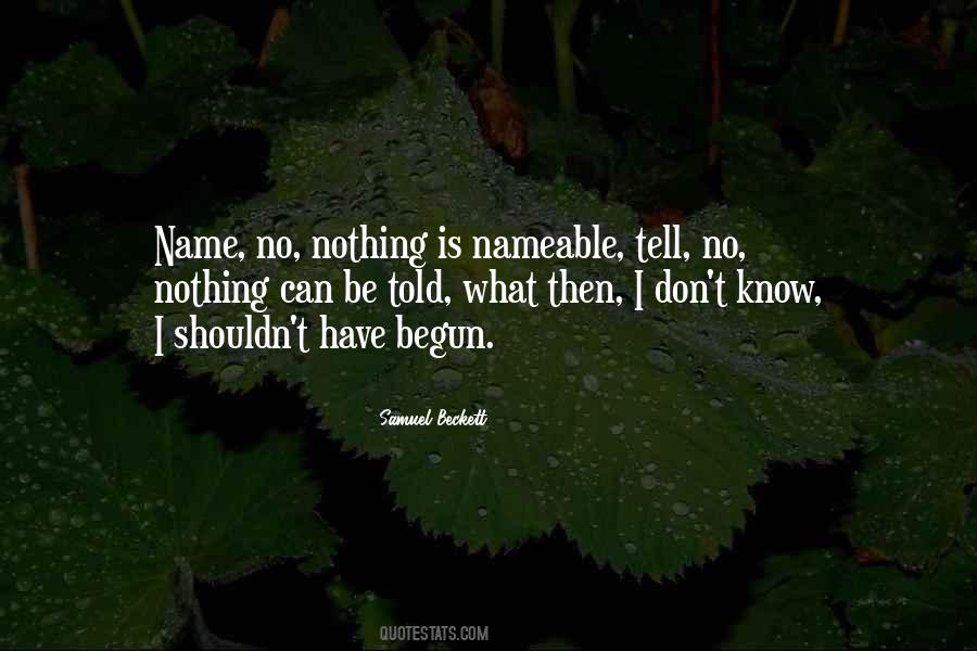 I Don't Know Nothing Quotes #152730
