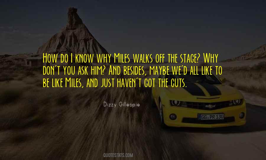 I Don't Know Why I Like You Quotes #1633094