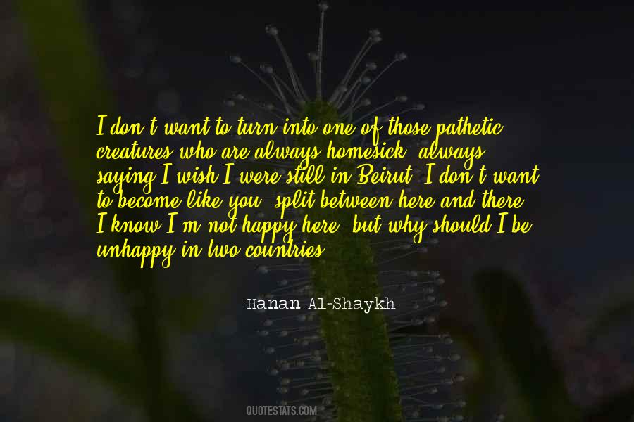 I Don't Know Why I Like You Quotes #1871204