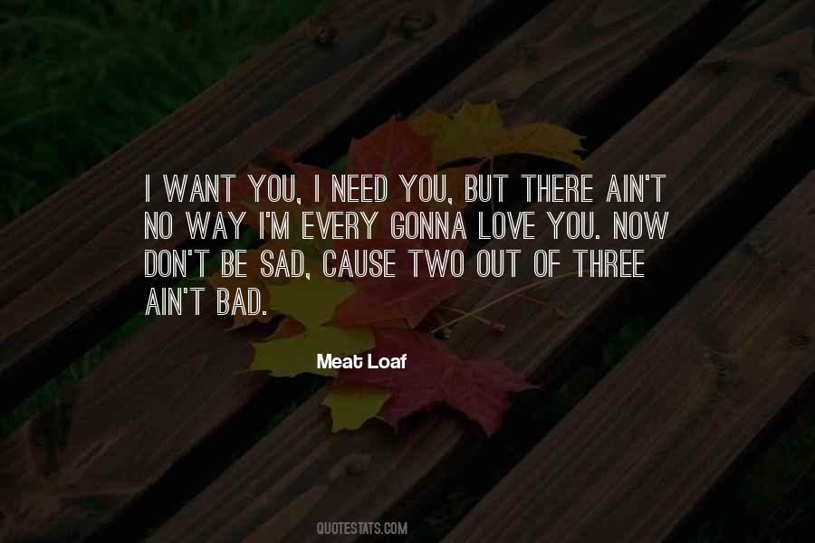 I Don't Need You Now Quotes #751133