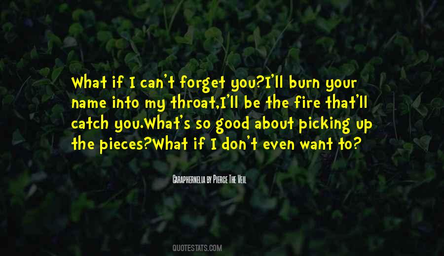 I Don't Want To Forget You Quotes #394188