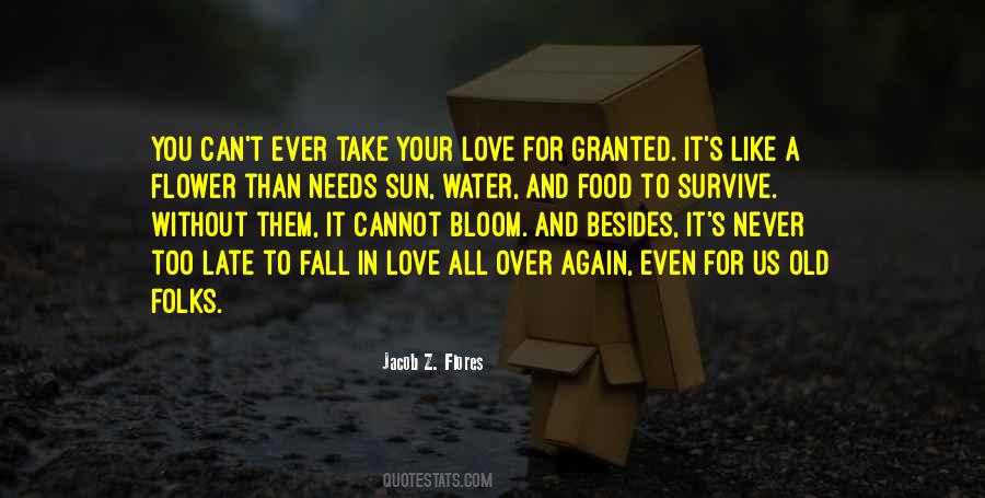 I Fall In Love With You All Over Again Quotes #386580