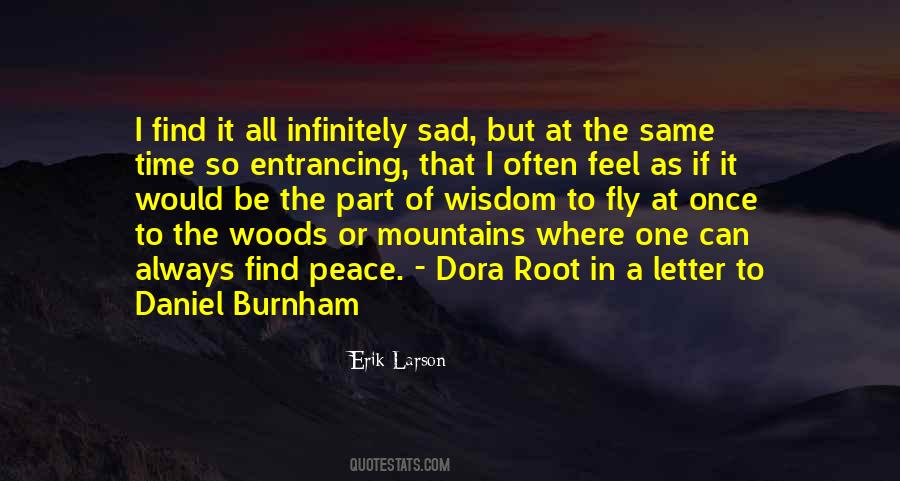 I Feel At Peace Quotes #694038