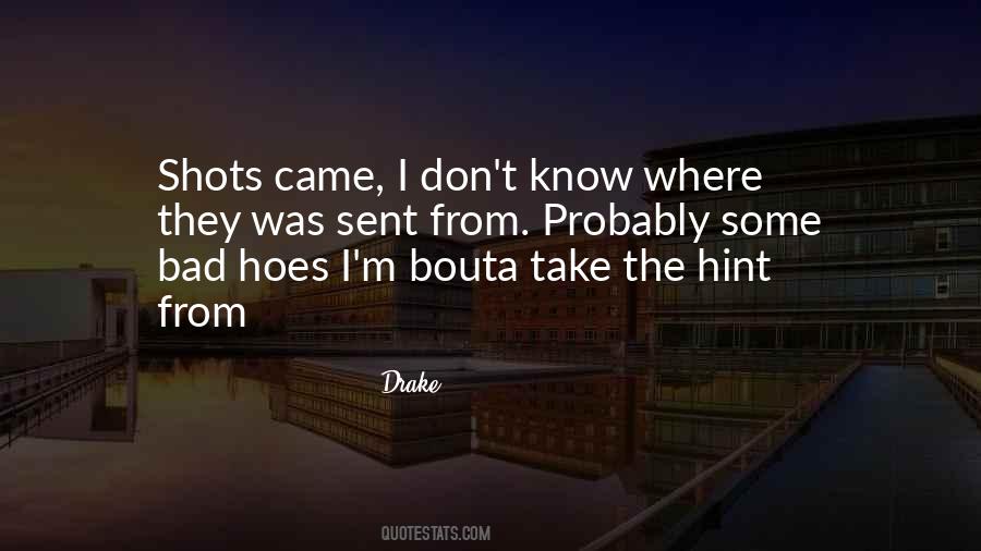 I Got Hoes Quotes #653357