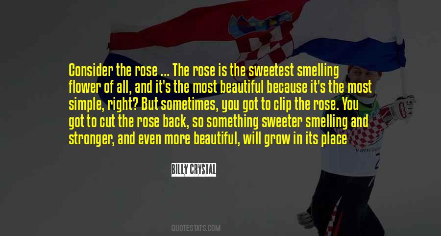 I Grow Stronger Quotes #496384