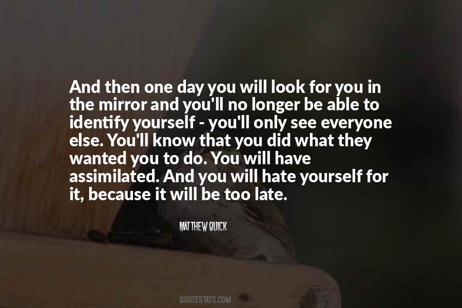 I Hate What I See In The Mirror Quotes #560432