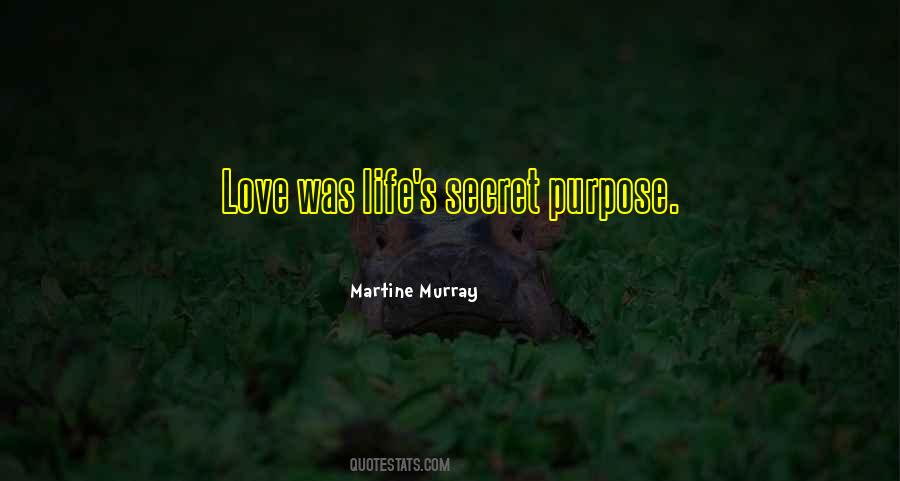 I Have A Secret Love Quotes #183848