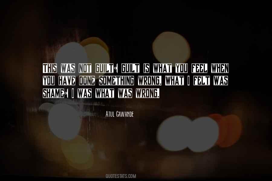 I Have Done You Wrong Quotes #577734