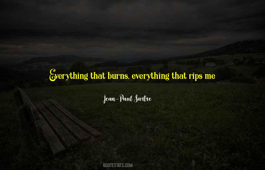 I Have Everything Quotes #10651