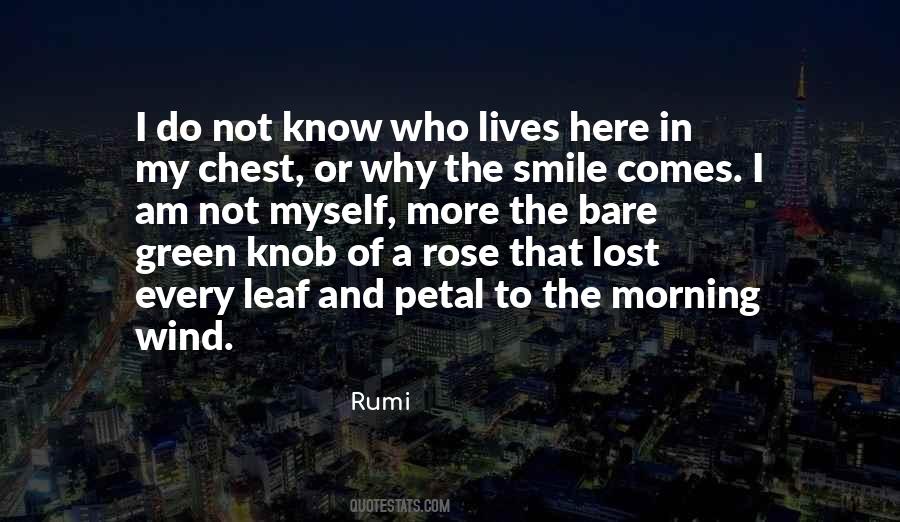 I Have Lost My Smile Quotes #936696