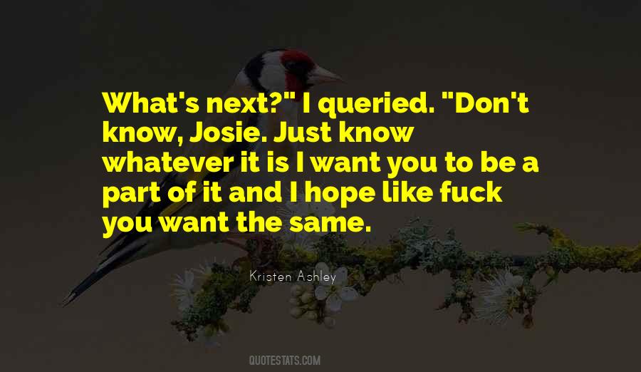 I Hope You Like It Quotes #1061918
