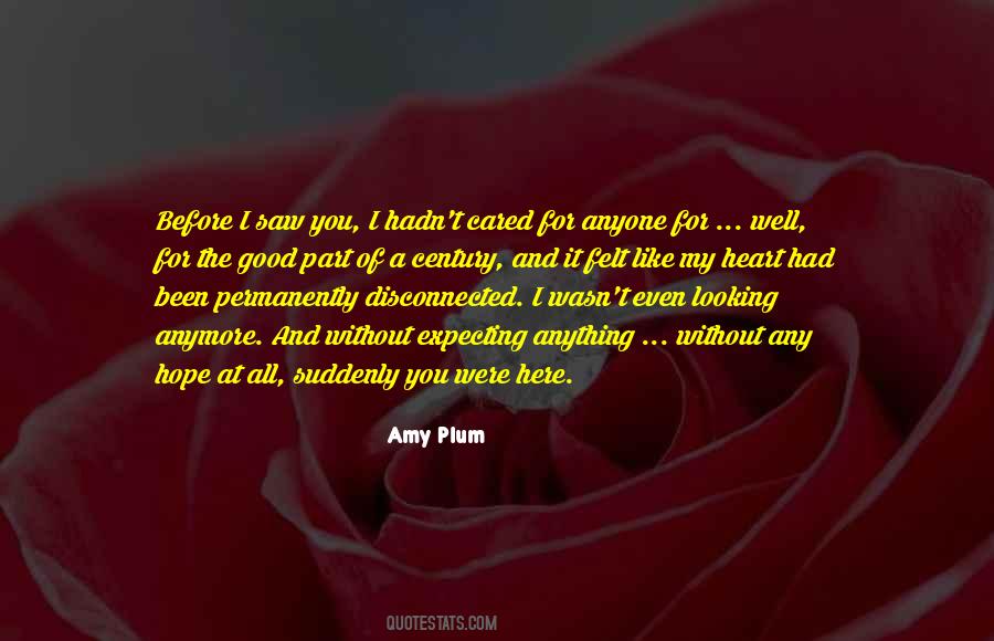 I Hope You Like It Quotes #1074508