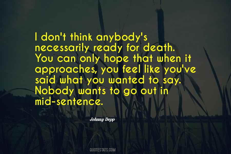 I Hope You Like It Quotes #1104780