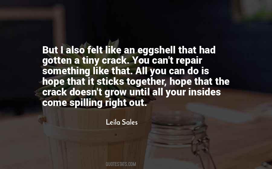 I Hope You Like It Quotes #348565