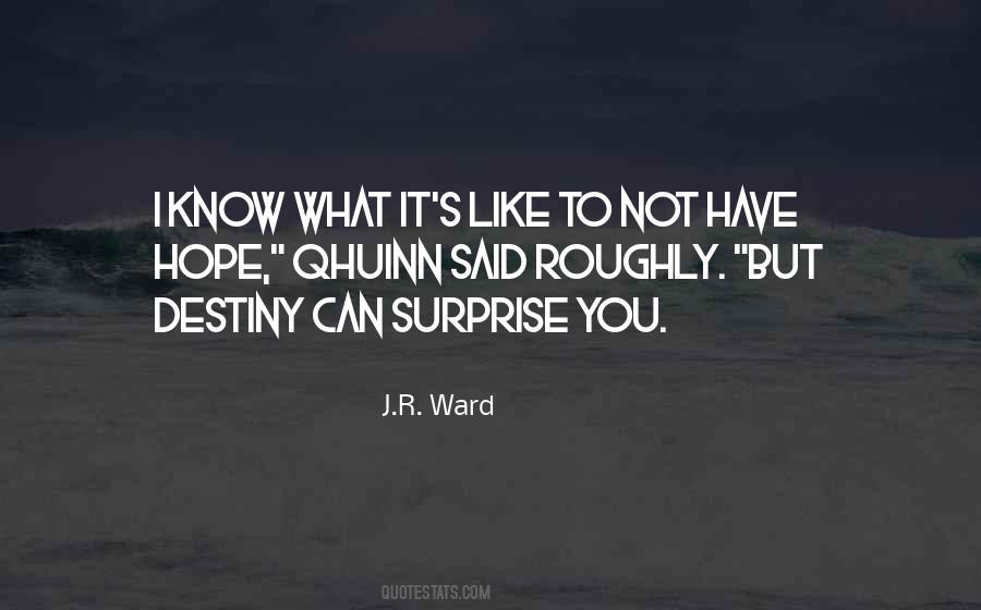 I Hope You Like It Quotes #86223