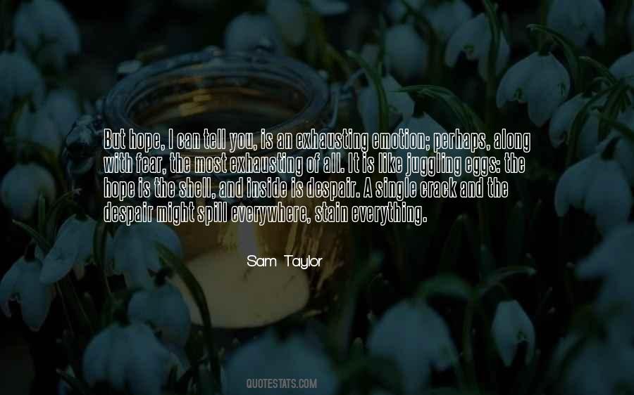 I Hope You Like It Quotes #949265
