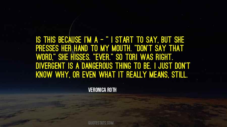 I Just Don't Know Quotes #1603271