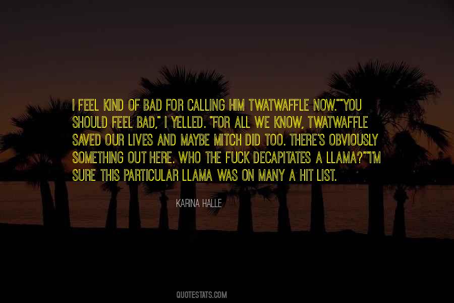I Know I'm Bad Quotes #244378