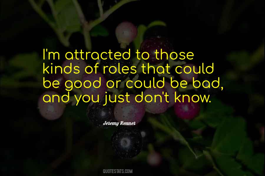 I Know I'm Bad Quotes #574368