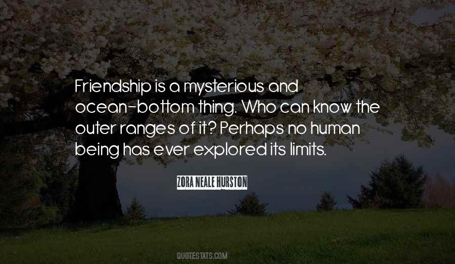 I Know My Limits Quotes #315477