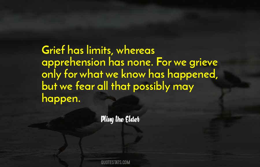 I Know My Limits Quotes #341374
