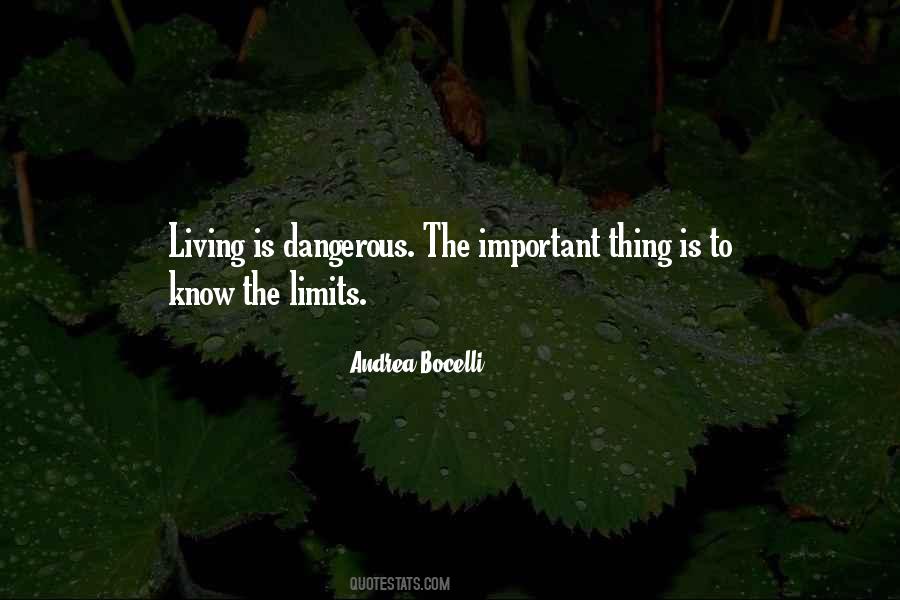 I Know My Limits Quotes #486755