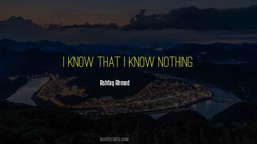 I Know Nothing Quotes #1299017