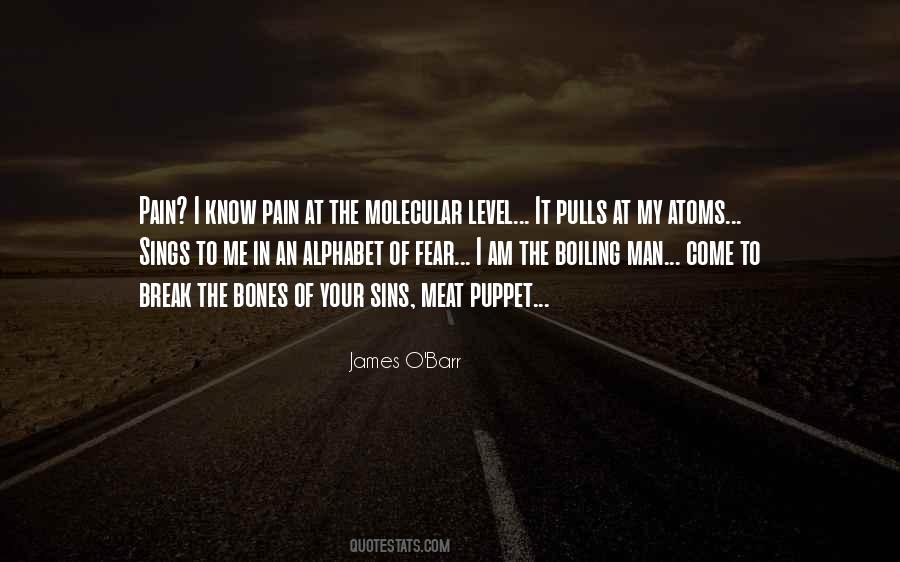 I Know Pain Quotes #1004010