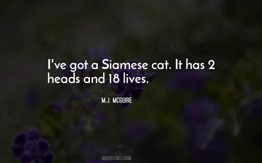 Quotes About Feline #466590