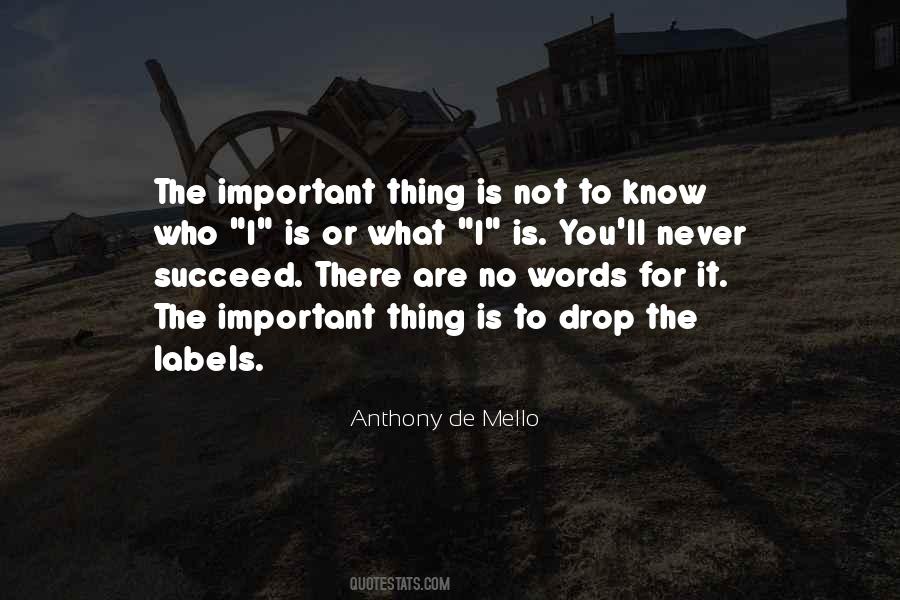 I Know You Will Succeed Quotes #319447