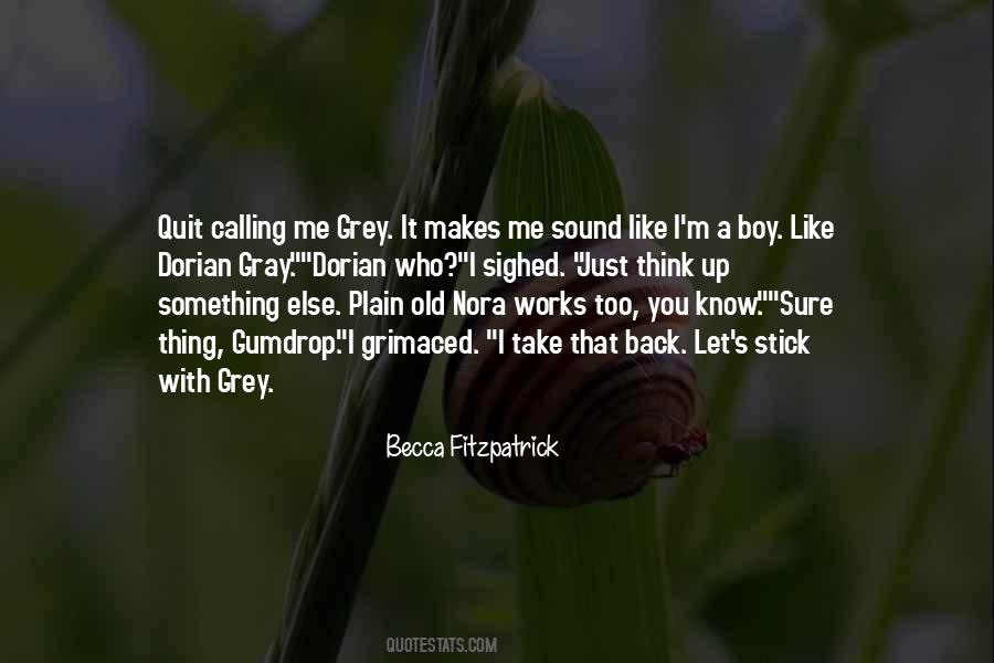 I Like A Boy Quotes #323912