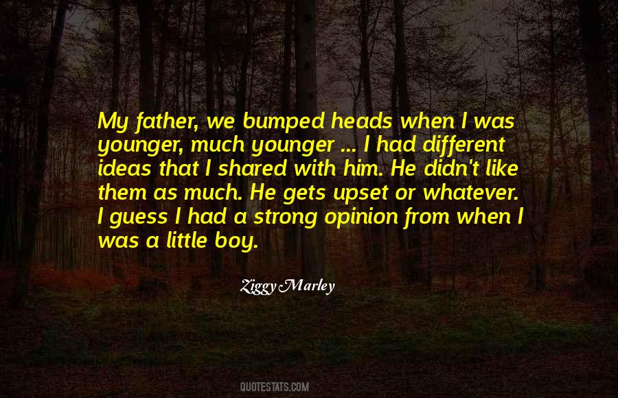 I Like A Boy Quotes #350179