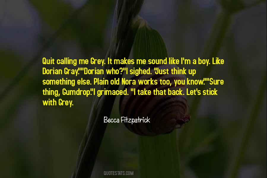 I Like You Boy Quotes #323912