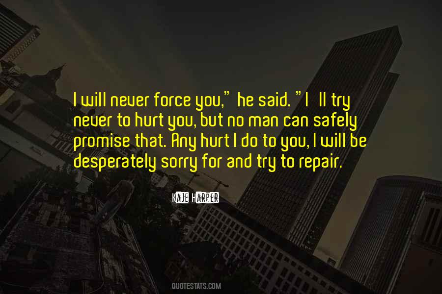 I Ll Never Hurt You Quotes #347538