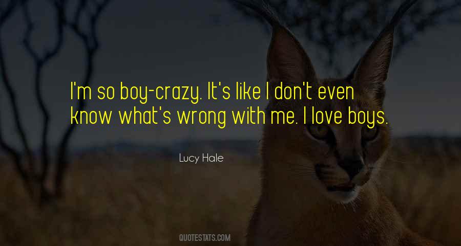 I Love Lucy Quotes #217189