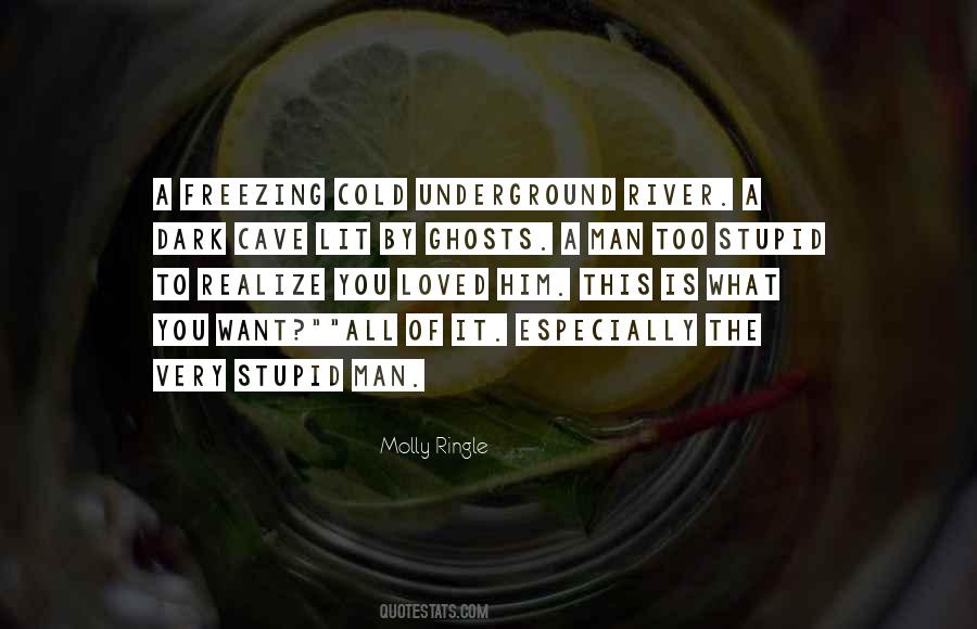 I Love You But I'm Not Stupid Quotes #218339