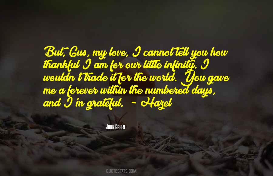 I Love You For Infinity Quotes #921384