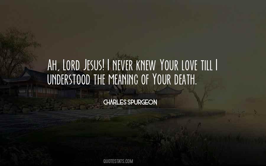 I Love You Lord Jesus Quotes #19801