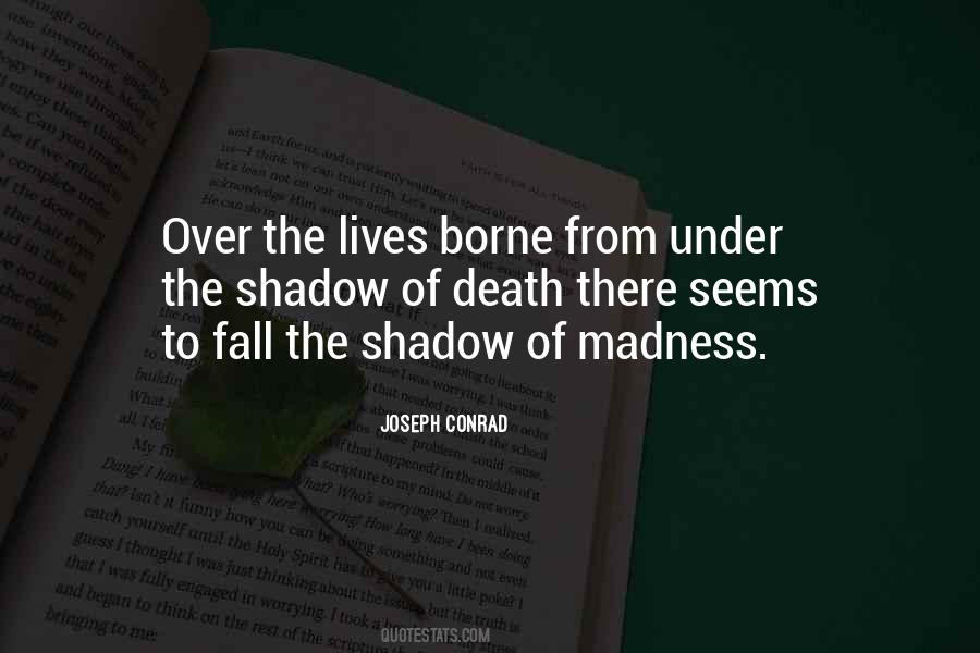 I Love Your Madness Quotes #78250