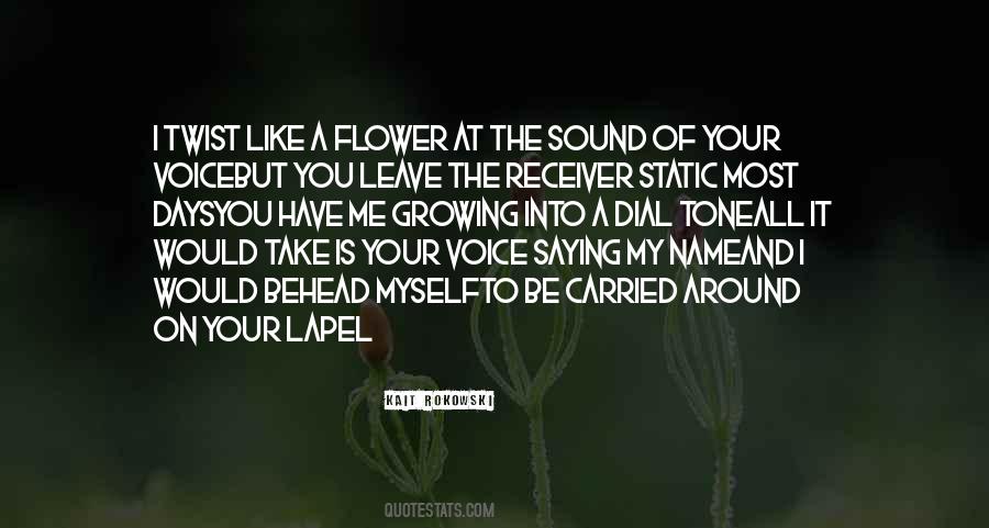 I Love Your Voice Quotes #1166091