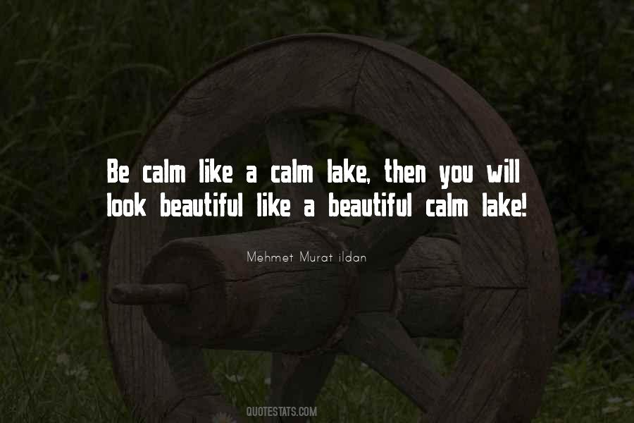 I May Look Calm Quotes #388502