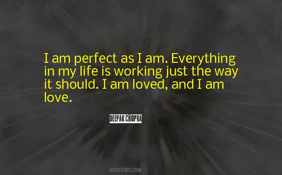 I Might Not Be Perfect But I Love You Quotes #52094