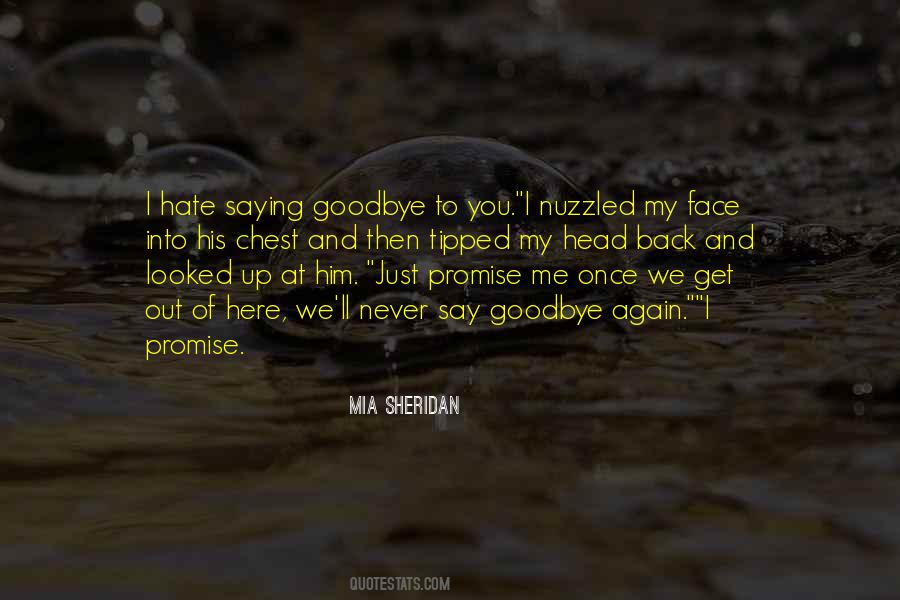 I Never Got To Say Goodbye Quotes #1162990