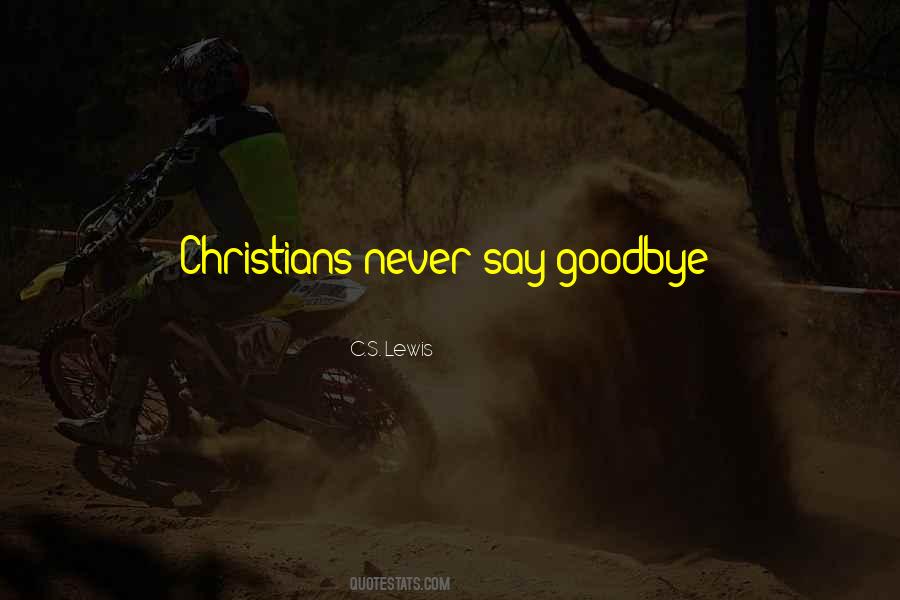 I Never Got To Say Goodbye Quotes #878378