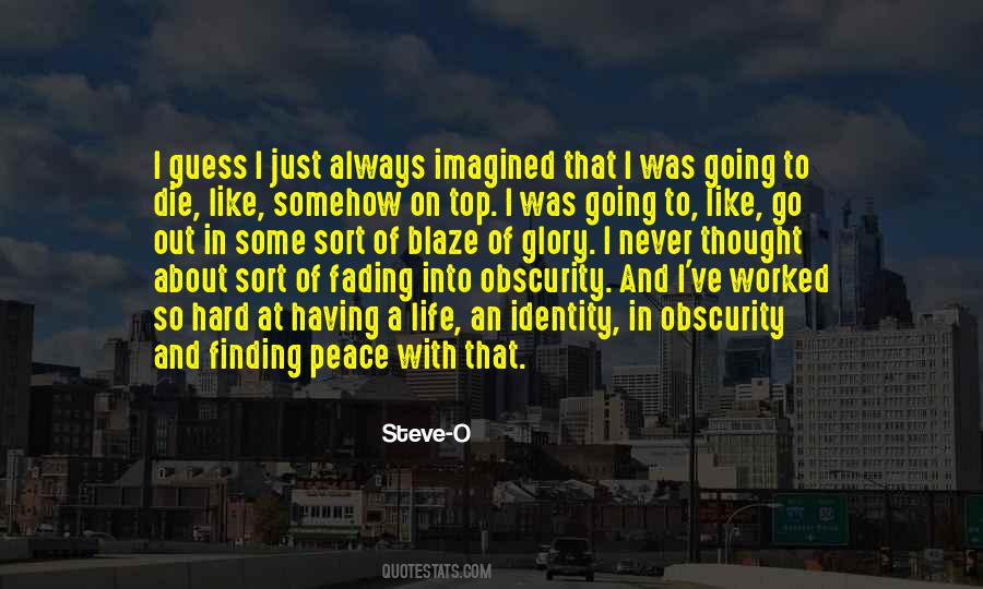 I Never Imagined Quotes #32412