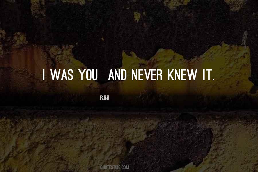 I Never Knew You Quotes #499850