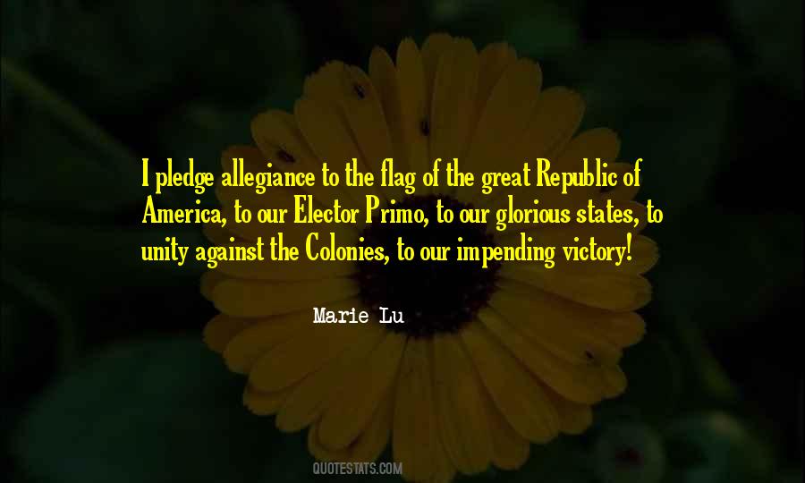I Pledge Allegiance Quotes #860311